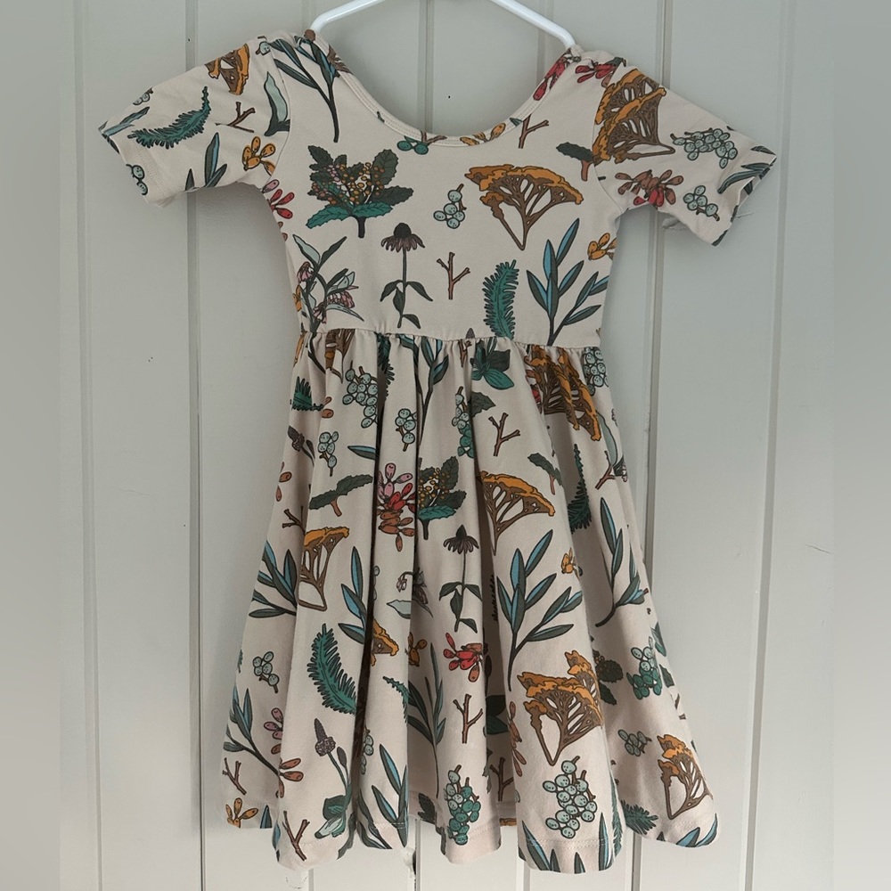 Alice & Ames size 5 herbal study short sleeve ballet dress